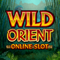Wild Orient pokie review