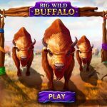 Big Wild Buffalo Pokie Review